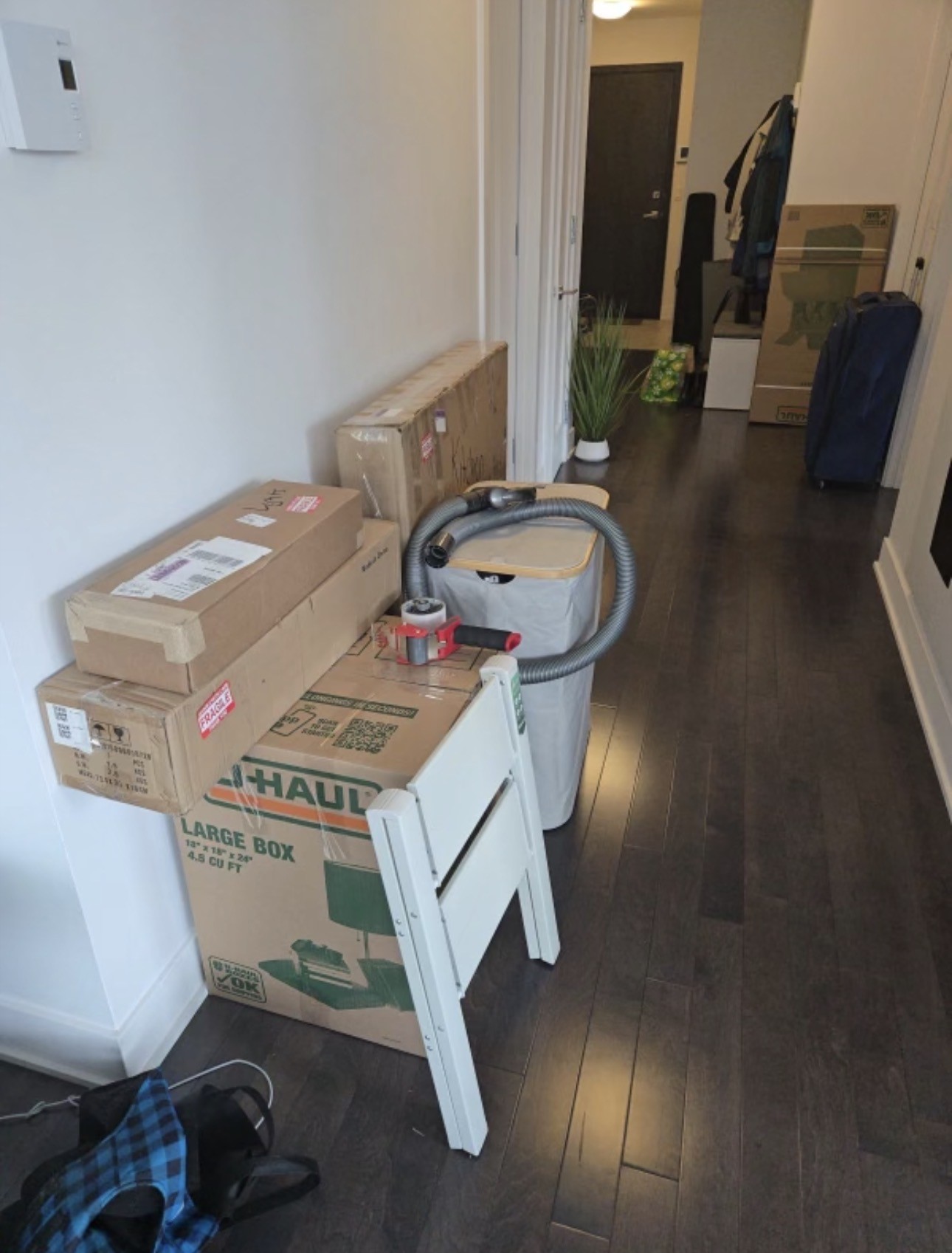 Post-move cleaning by Allo Moving